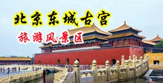看逼影院中国北京-东城古宫旅游风景区